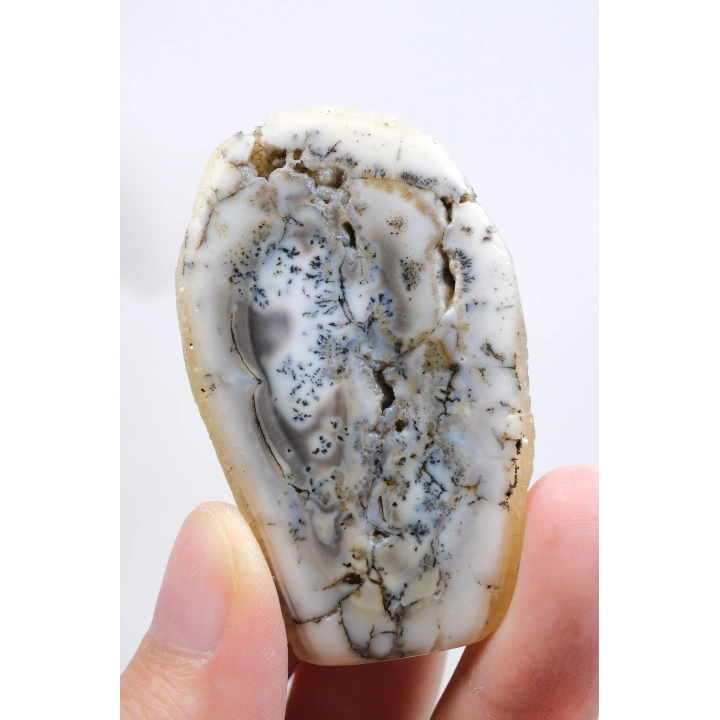 白瓷和石板灰色的梅林岩 - 树枝状蛋白石，69克