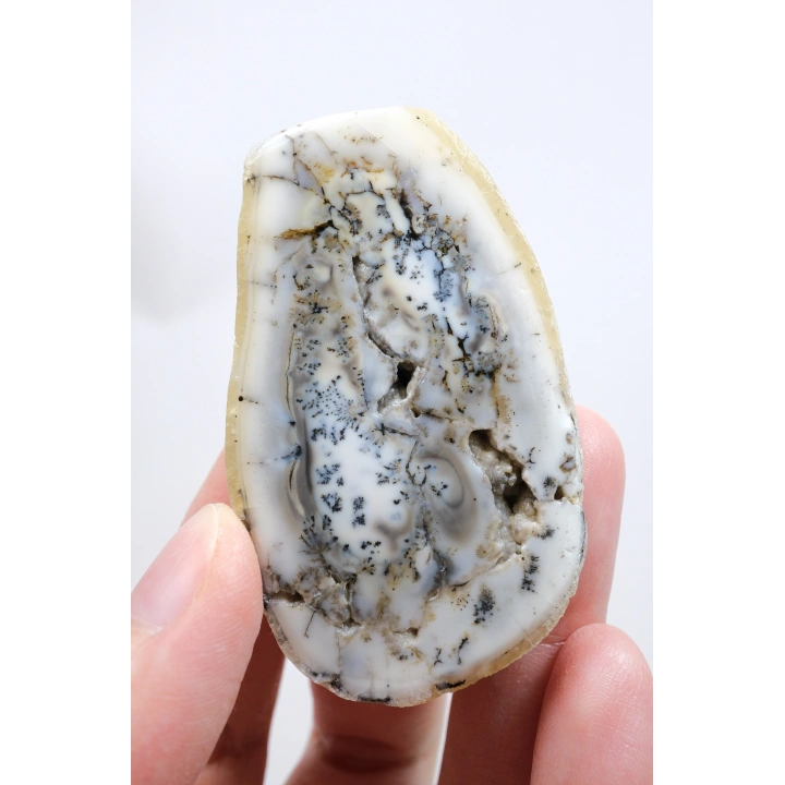 白瓷和石板灰色的梅林岩 - 树枝状蛋白石，69克