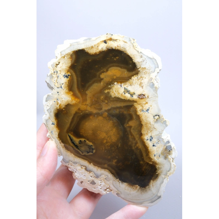 Raro par de ópalo dendrítico marrón con inclusiones dendríticas en forma de ramas oscuras, 797g