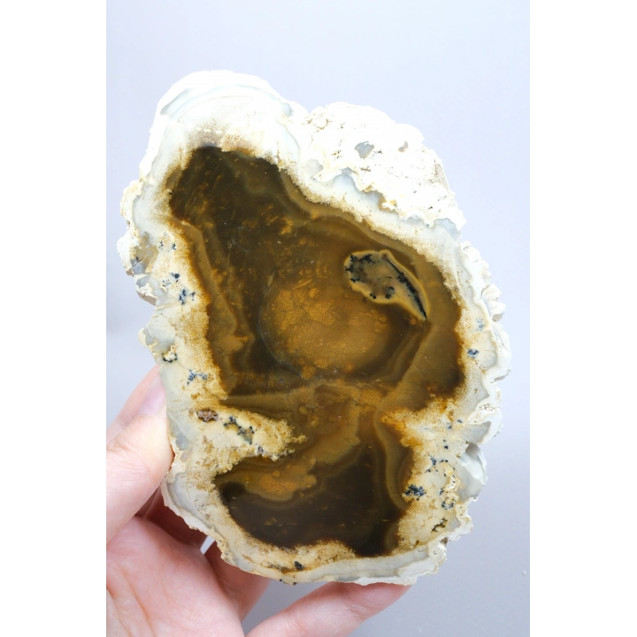 Raro par de ópalo dendrítico marrón con inclusiones dendríticas en forma de ramas oscuras, 797g