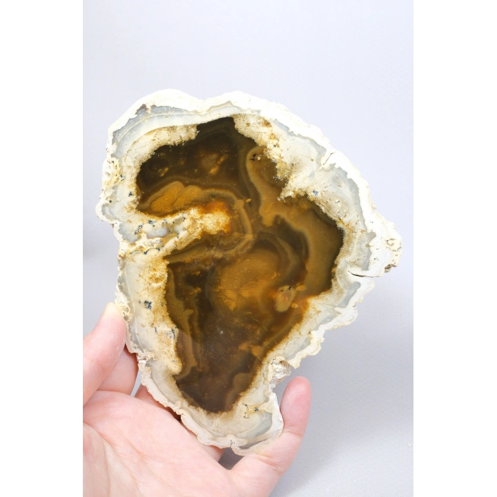 Raro par de ópalo dendrítico marrón con inclusiones dendríticas en forma de ramas oscuras, 797g