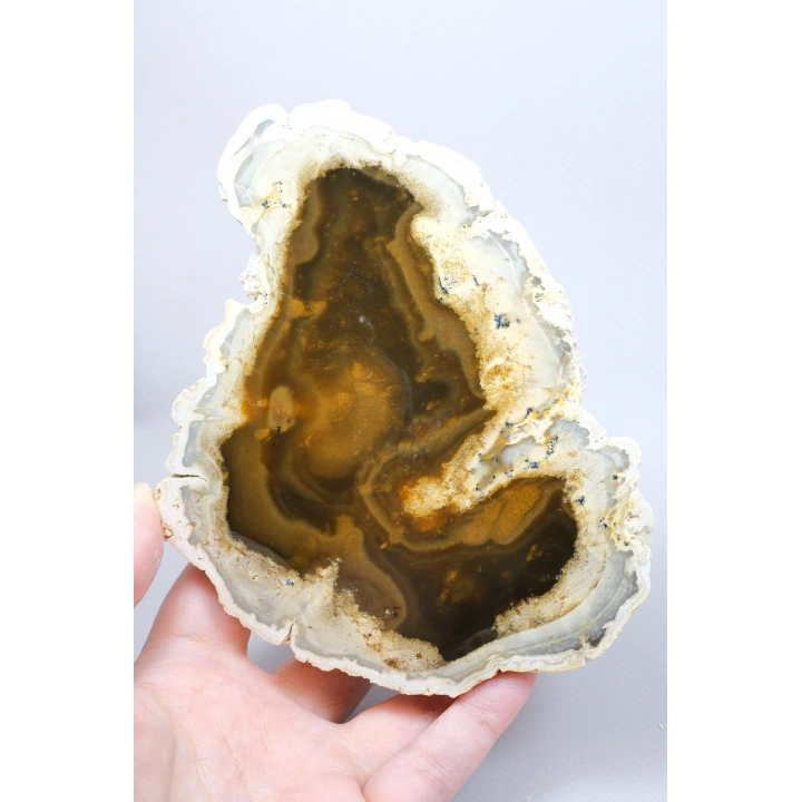 Raro par de ópalo dendrítico marrón con inclusiones dendríticas en forma de ramas oscuras, 797g