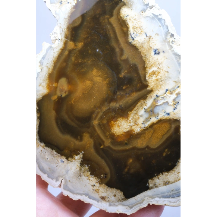 Raro par de ópalo dendrítico marrón con inclusiones dendríticas en forma de ramas oscuras, 797g
