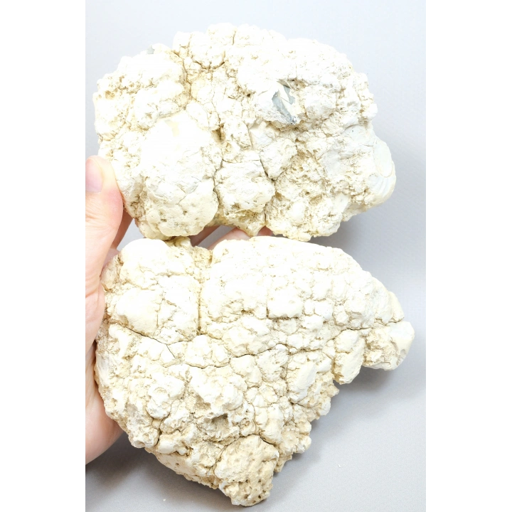 Raro par de ópalo dendrítico marrón con inclusiones dendríticas en forma de ramas oscuras, 797g