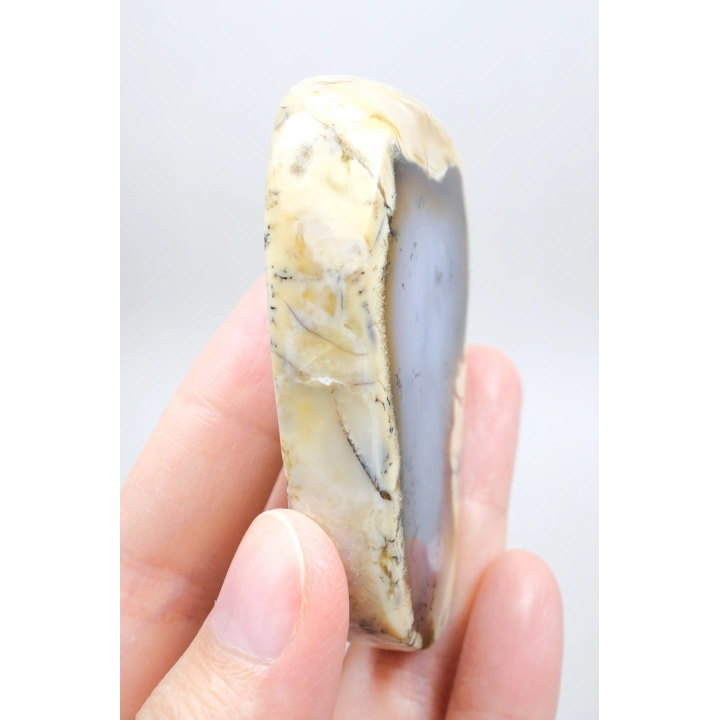 Nadir Renkli Merlinite Dilimi (İki Taraflı Cila Honey & Mavi Dendritik Opal) - Manzara Koleksiyon Taşı Numunesi (65g)