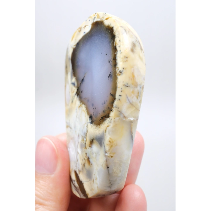Nadir Renkli Merlinite Dilimi (İki Taraflı Cila Honey & Mavi Dendritik Opal) - Manzara Koleksiyon Taşı Numunesi (65g)