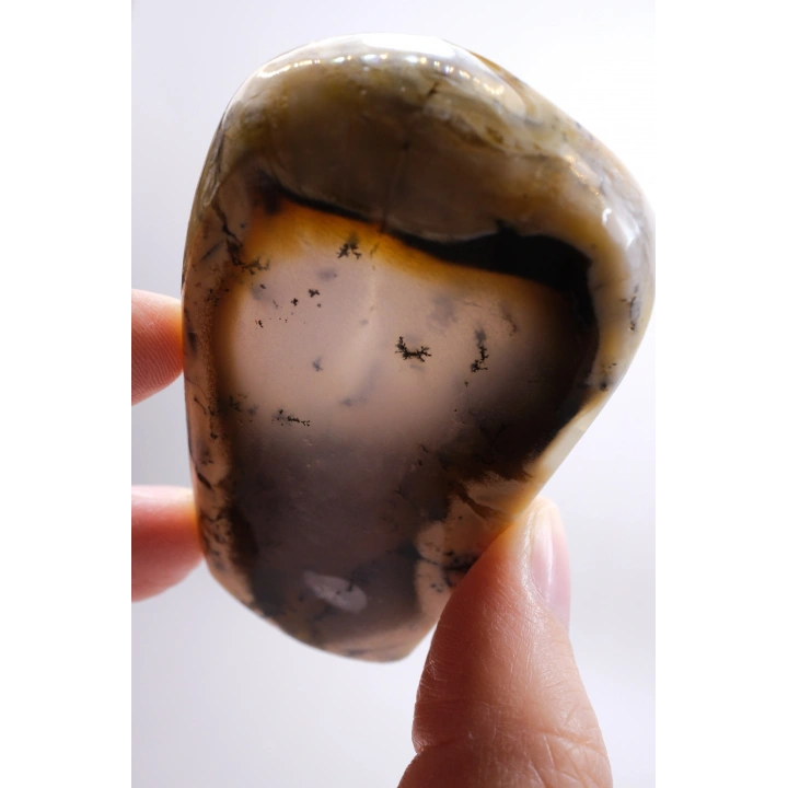 Nadir Renkli Merlinite Dilimi (İki Taraflı Cila Honey & Mavi Dendritik Opal) - Manzara Koleksiyon Taşı Numunesi (65g)