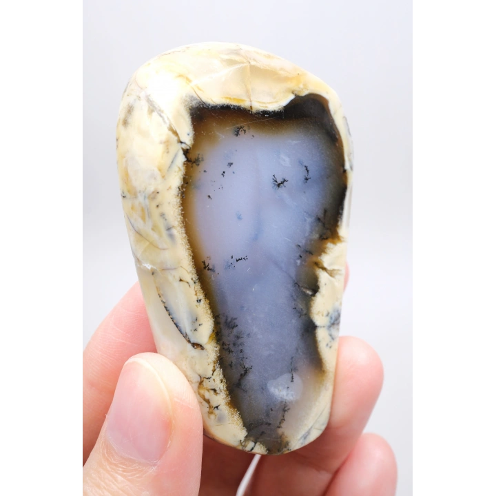 Nadir Renkli Merlinite Dilimi (İki Taraflı Cila Honey & Mavi Dendritik Opal) - Manzara Koleksiyon Taşı Numunesi (65g)
