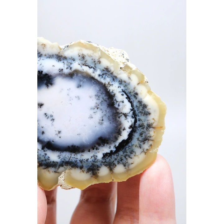 Nadir Dendritik Opal Kış Ormanı Dilimi - Cilalı Bal, Mavi ve Beyaz Merlinite