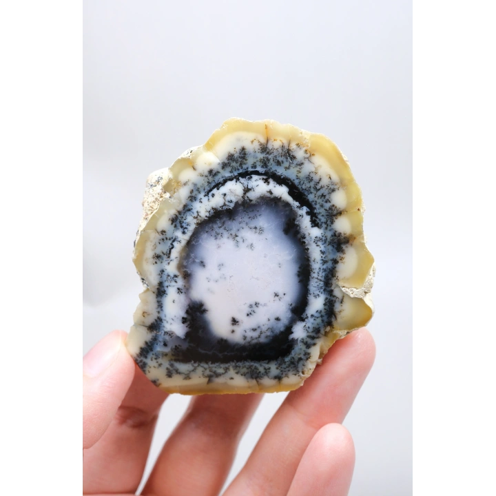 Nadir Dendritik Opal Kış Ormanı Dilimi - Cilalı Bal, Mavi ve Beyaz Merlinite