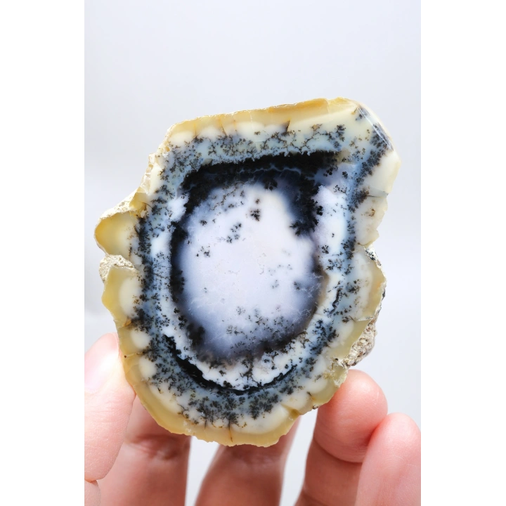 Nadir Dendritik Opal Kış Ormanı Dilimi - Cilalı Bal, Mavi ve Beyaz Merlinite