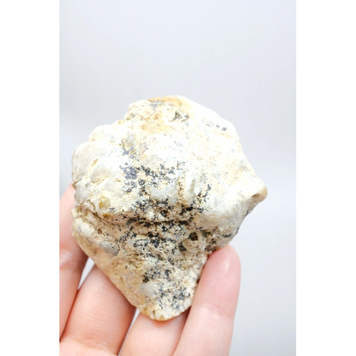 Nadir Dendritik Opal Kış Ormanı Dilimi - Cilalı Bal, Mavi ve Beyaz Merlinite