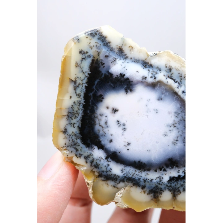 Nadir Dendritik Opal Kış Ormanı Dilimi - Cilalı Bal, Mavi ve Beyaz Merlinite