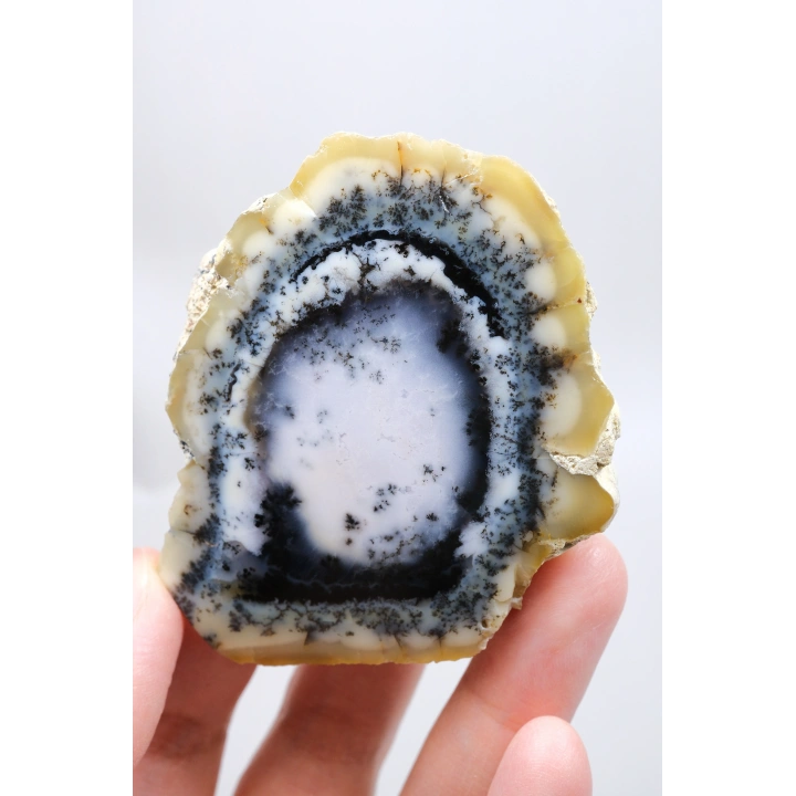 Nadir Dendritik Opal Kış Ormanı Dilimi - Cilalı Bal, Mavi ve Beyaz Merlinite