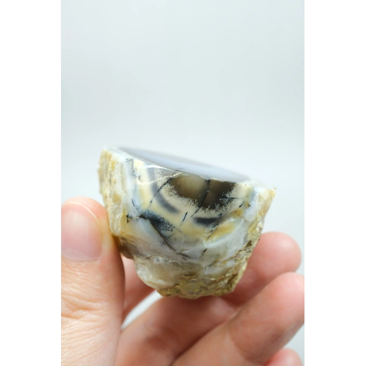 Nadir Dendritik Opal Kış Ormanı Dilimi - Cilalanmış Olağanüstü Bal, Mavi ve Beyaz