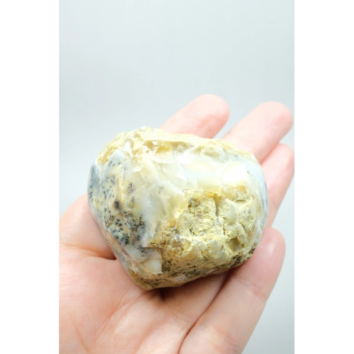 Nadir Dendritik Opal Kış Ormanı Dilimi - Cilalanmış Olağanüstü Bal, Mavi ve Beyaz