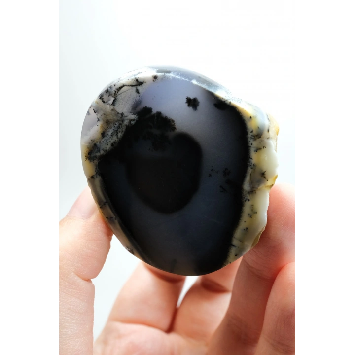 Nadir Dendritik Opal Kış Ormanı Dilimi - Cilalanmış Olağanüstü Bal, Mavi ve Beyaz