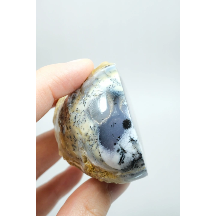 Nadir Dendritik Opal Kış Ormanı Dilimi - Cilalanmış Olağanüstü Bal, Mavi ve Beyaz