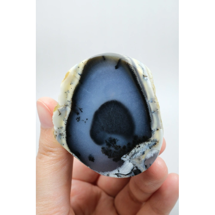 Nadir Dendritik Opal Kış Ormanı Dilimi - Cilalanmış Olağanüstü Bal, Mavi ve Beyaz