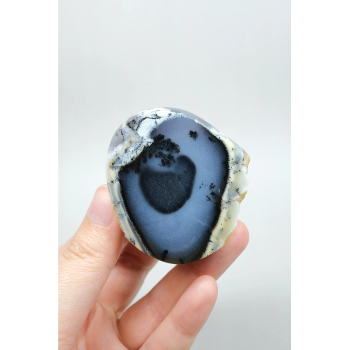 Nadir Dendritik Opal Kış Ormanı Dilimi - Cilalanmış Olağanüstü Bal, Mavi ve Beyaz