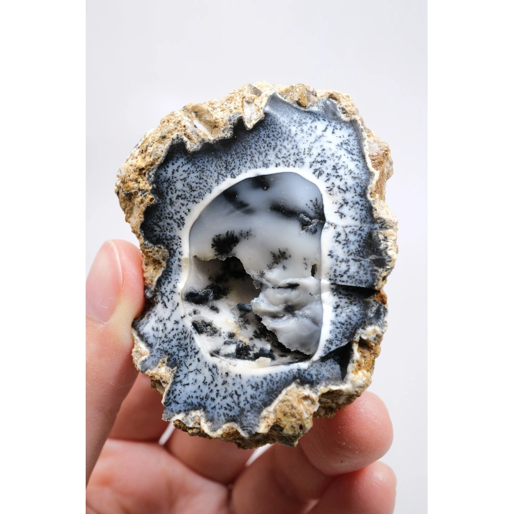 Seltene Merlinite (Baumartiger Dendritenopal) Geode - Natürliche, dreidimensionale baumartige Dendriten, 58g