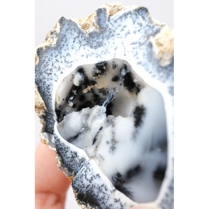 Seltene Merlinite (Baumartiger Dendritenopal) Geode - Natürliche, dreidimensionale baumartige Dendriten, 58g