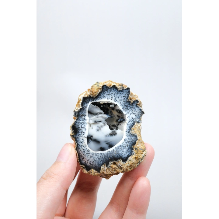 Seltene Merlinite (Baumartiger Dendritenopal) Geode - Natürliche, dreidimensionale baumartige Dendriten, 58g