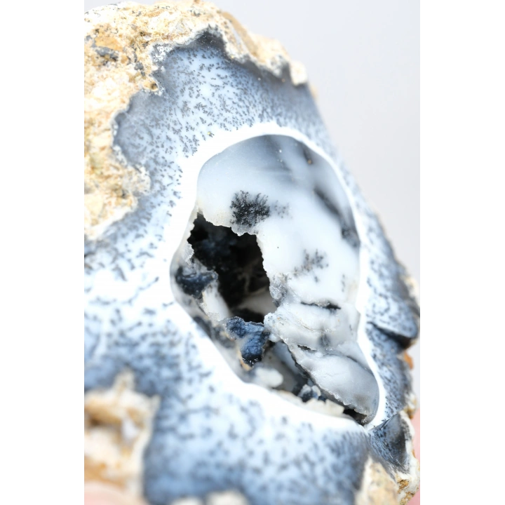 Seltene Merlinite (Baumartiger Dendritenopal) Geode - Natürliche, dreidimensionale baumartige Dendriten, 58g