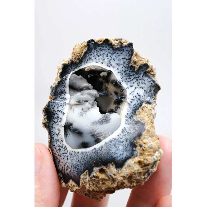 Seltene Merlinite (Baumartiger Dendritenopal) Geode - Natürliche, dreidimensionale baumartige Dendriten, 58g