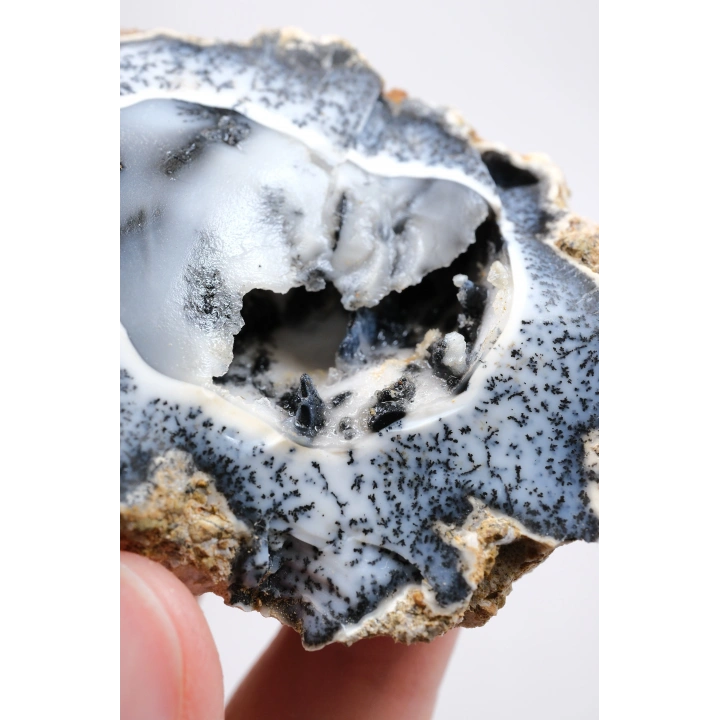 Seltene Merlinite (Baumartiger Dendritenopal) Geode - Natürliche, dreidimensionale baumartige Dendriten, 58g