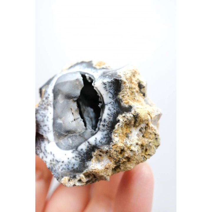 Rare Merlinit Jeodu (Opalo Dendrítico) - Cavidad cruda con especimen con inclusiones dendríticas en forma de árbol en 3D, 51g