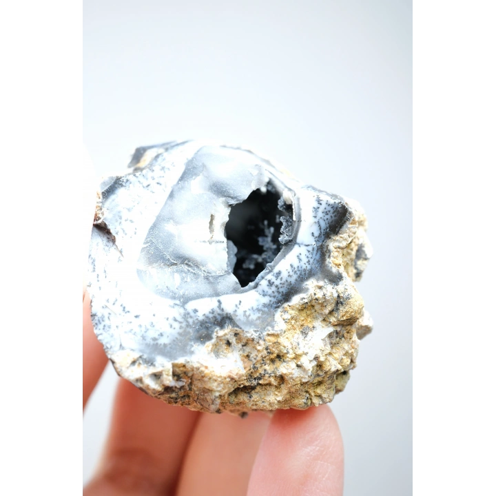 Rare Merlinit Jeodu (Opalo Dendrítico) - Cavidad cruda con especimen con inclusiones dendríticas en forma de árbol en 3D, 51g