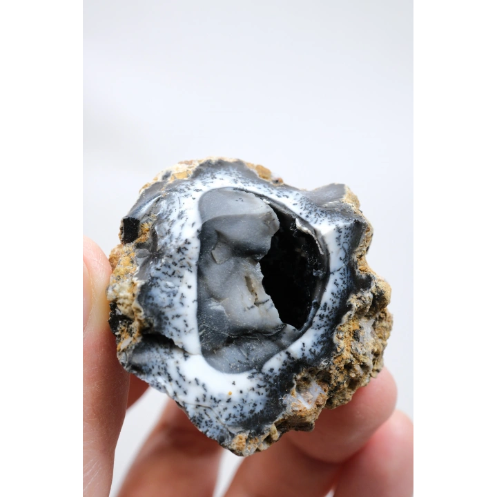 Rare Merlinit Jeodu (Opalo Dendrítico) - Cavidad cruda con especimen con inclusiones dendríticas en forma de árbol en 3D, 51g