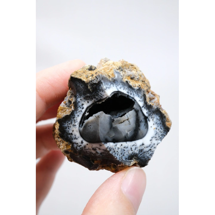 Rare Merlinit Jeodu (Opalo Dendrítico) - Cavidad cruda con especimen con inclusiones dendríticas en forma de árbol en 3D, 51g