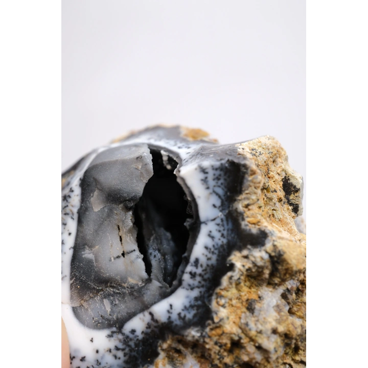 Rare Merlinit Jeodu (Opalo Dendrítico) - Cavidad cruda con especimen con inclusiones dendríticas en forma de árbol en 3D, 51g