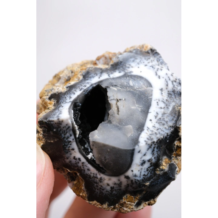 Rare Merlinit Jeodu (Opalo Dendrítico) - Cavidad cruda con especimen con inclusiones dendríticas en forma de árbol en 3D, 51g