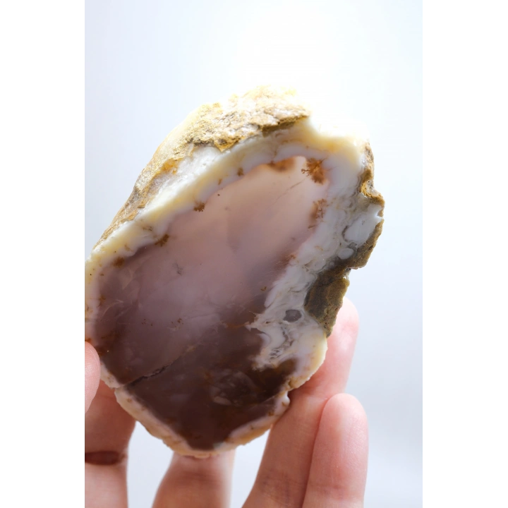 Nadir Turuncu Dendrit Merlinit Cilalanmış Yarım - Açık Mavi Dendritik Opal