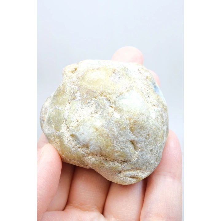 Nadir Kış Ormanı Merlinit Dilimi (Mavi ve Beyaz Dendritik Opal) - Cilalanmış Portal Koleksiyoncuya Özel Örnek (68g)