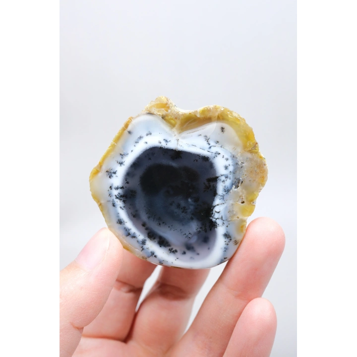 Nadir Kış Ormanı Merlinit Dilimi (Mavi ve Beyaz Dendritik Opal) - Cilalanmış Portal Koleksiyoncuya Özel Örnek (68g)