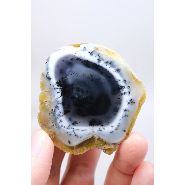 Nadir Kış Ormanı Merlinit Dilimi (Mavi ve Beyaz Dendritik Opal) - Cilalanmış Portal Koleksiyoncuya Özel Örnek (68g)