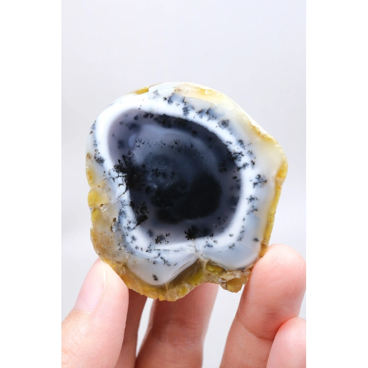Nadir Kış Ormanı Merlinit Dilimi (Mavi ve Beyaz Dendritik Opal) - Cilalanmış Portal Koleksiyoncuya Özel Örnek (68g)