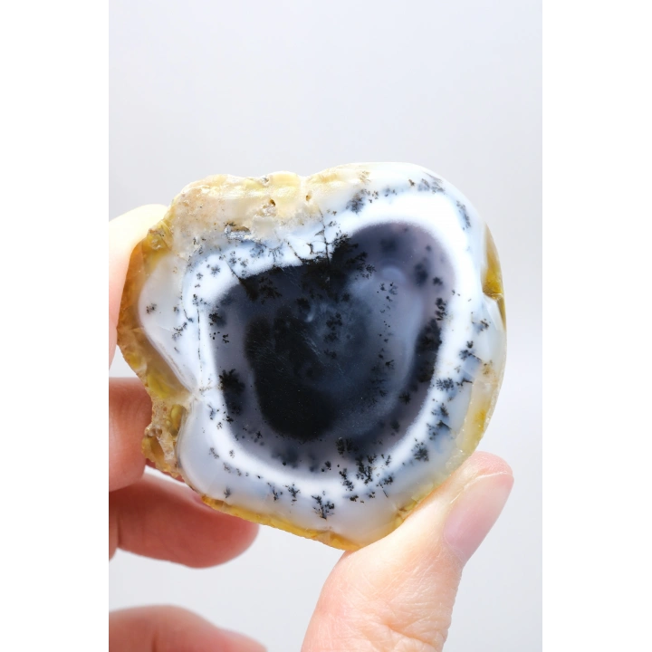 Nadir Kış Ormanı Merlinit Dilimi (Mavi ve Beyaz Dendritik Opal) - Cilalanmış Portal Koleksiyoncuya Özel Örnek (68g)
