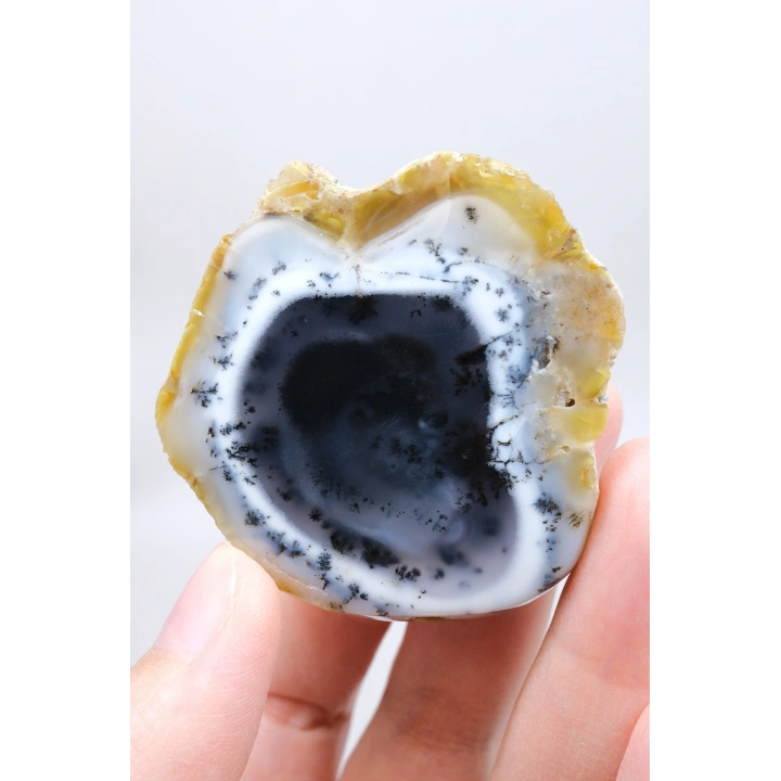 Nadir Kış Ormanı Merlinit Dilimi (Mavi ve Beyaz Dendritik Opal) - Cilalanmış Portal Koleksiyoncuya Özel Örnek (68g)