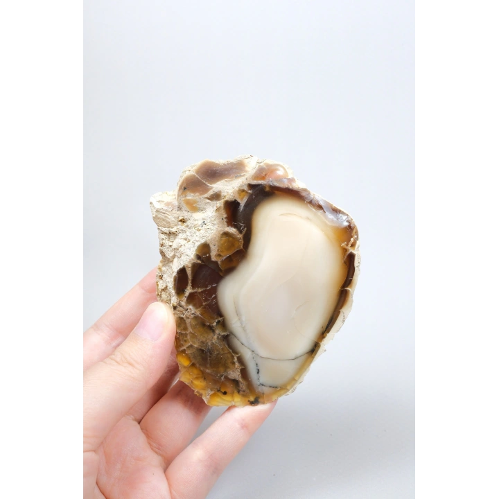 Ham Bal ve Süt-Opal Örneği Matriste, 141g