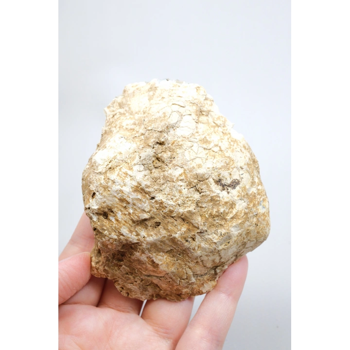 Ham Bal ve Süt-Opal Örneği Matriste, 141g