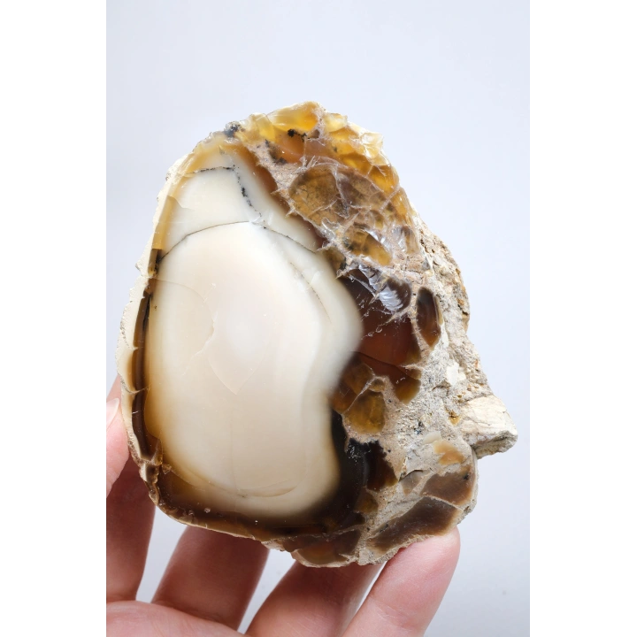 Ham Bal ve Süt-Opal Örneği Matriste, 141g