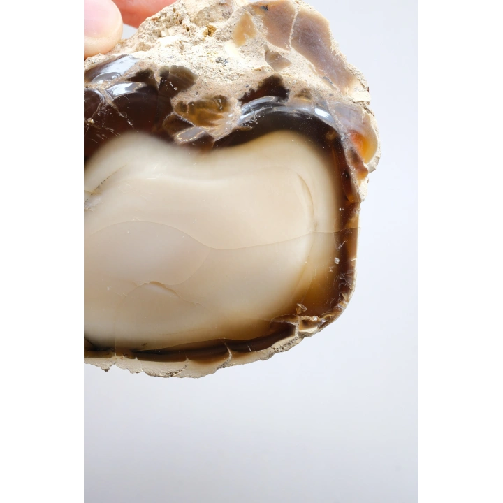 Ham Bal ve Süt-Opal Örneği Matriste, 141g