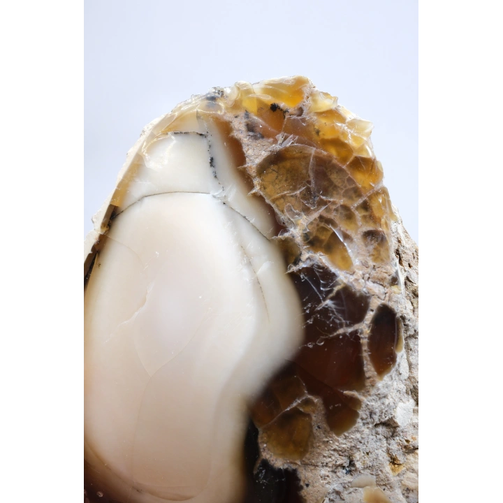 Ham Bal ve Süt-Opal Örneği Matriste, 141g