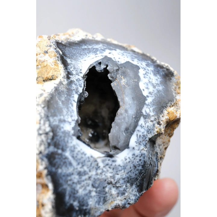 Geoda de Merlinita Cruda (Opalo Dendrítico) - Dendritas en forma de árbol en 3D, 115g