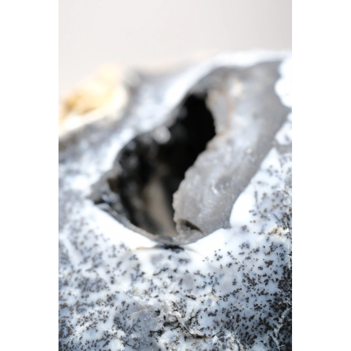 Geoda de Merlinita Cruda (Opalo Dendrítico) - Dendritas en forma de árbol en 3D, 115g